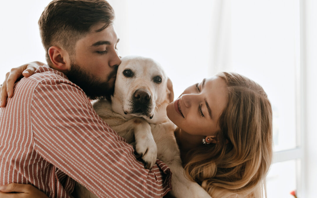 Homeopatía en mascotas, cada vez más popular